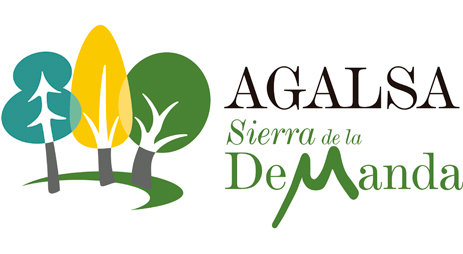 logo-agalsa-