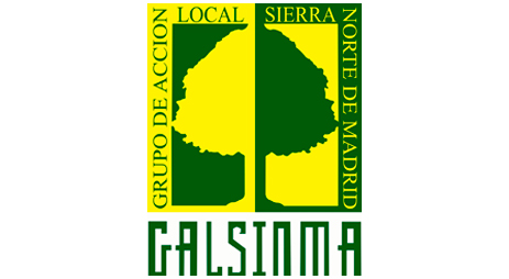 logo-galsinma-