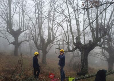 CursoArboricultura_PuebladelaSierra_200125_5