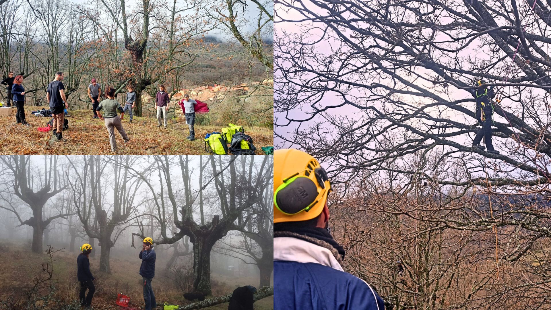 Inicio de la 1º edición del curso de técnicas de arboricultura para el trasmocho y la conservación sostenible de masas forestales en Puebla de la Sierra