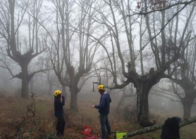 CursoArboricultura_PuebladelaSierra_200125_18