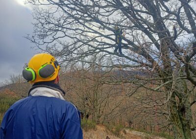 CursoArboricultura_PuebladelaSierra_200125_39