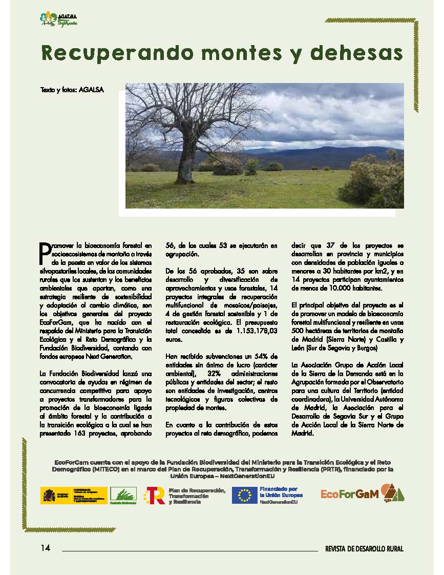 revista verano 24 (Portada)_Página_1