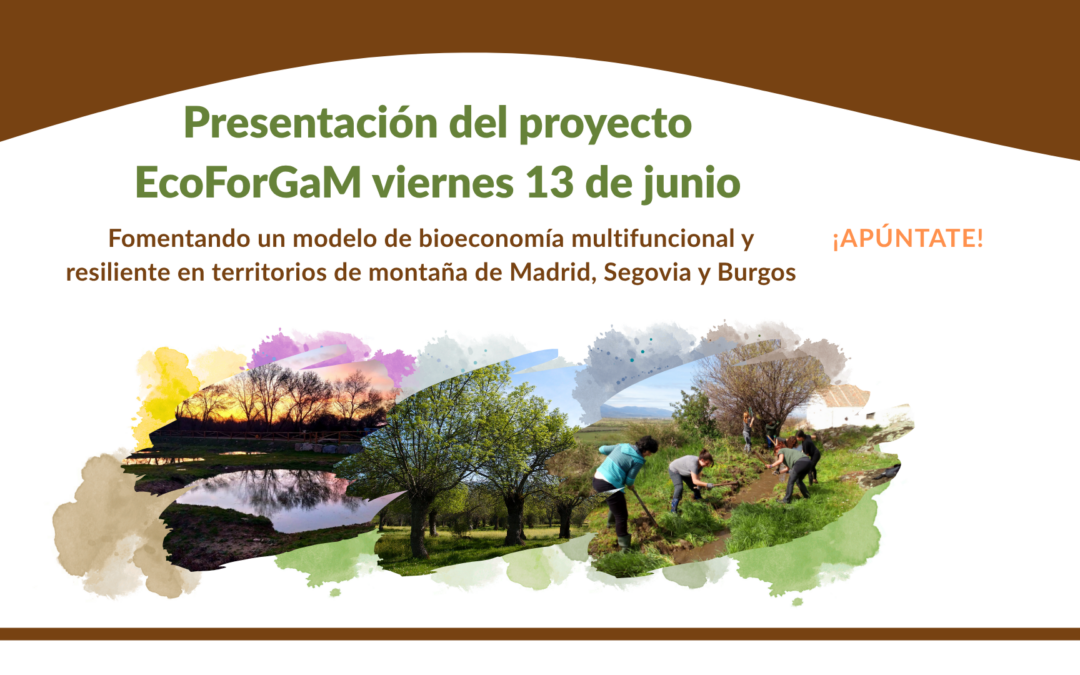 Jornada de presentación del proyecto EcoForGaM en Torrecaballeros el próximo 13 de junio