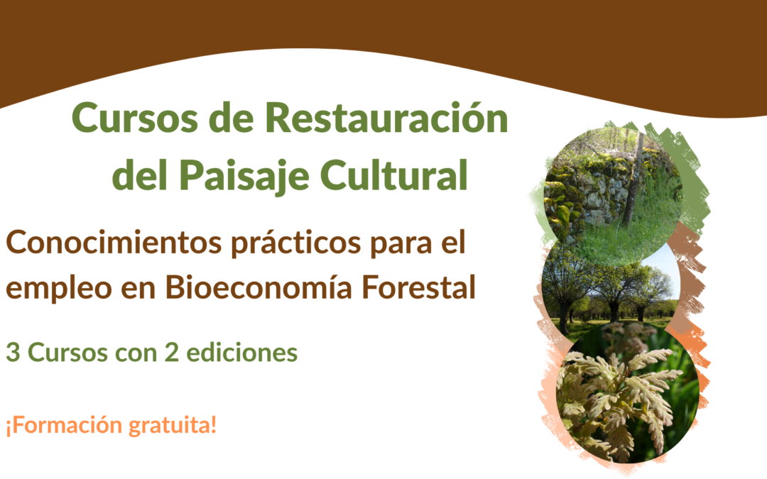 Formación para el desarrollo rural y la bioeconomía forestal en Cabanillas del Monte, Segovia