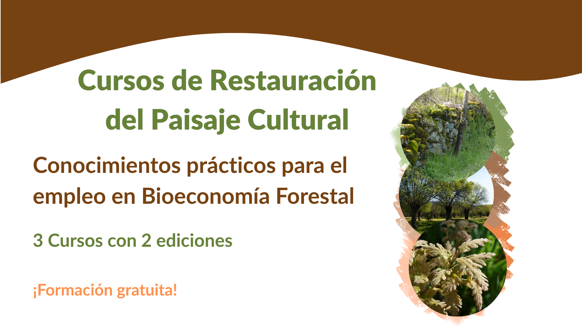Formación para el desarrollo rural y la bioeconomía forestal en Cabanillas del Monte, Segovia