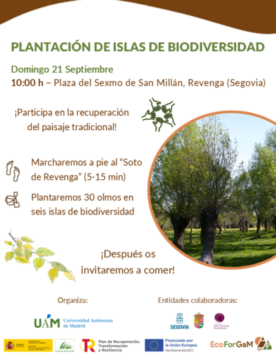 Plantación de islas de biodiversidad - Ecoforgam