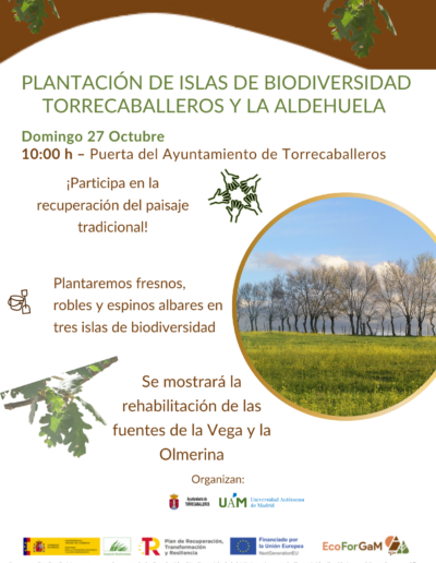 Torrecaballeros. Plantación de islas de biodiversidad - Ecoforgam