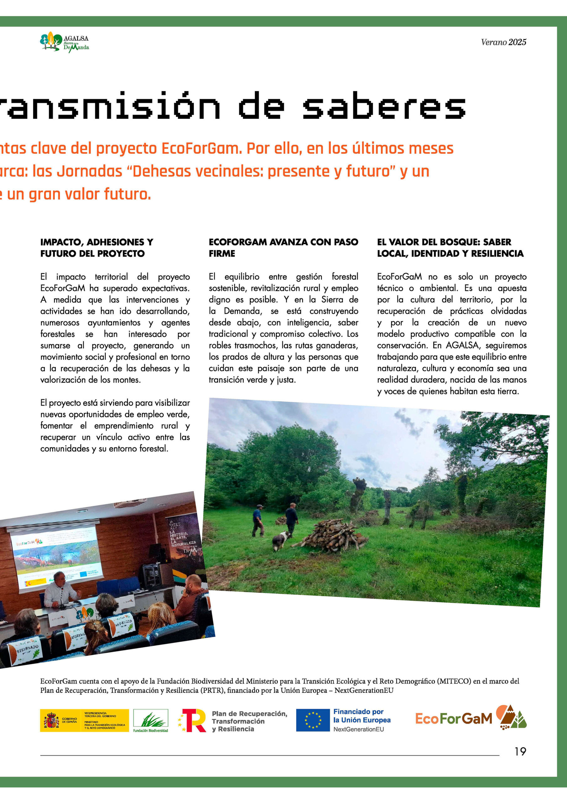 revista verano 25_Página_2