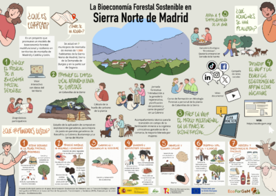 Infografía de bioeconomia forestal sostenible en Sierra Norte de Madrid
