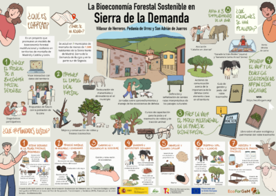 Infografía de bioeconomia forestal sostenible en Sierra de la Demanda