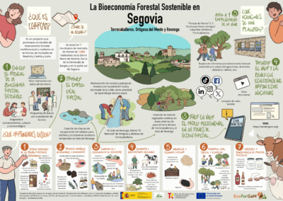 INFOGRAFÍAS SEGOVIA OCT banderas