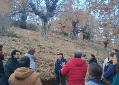 Jornadas de Trasmocho