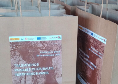 Jornadas de Trasmocho