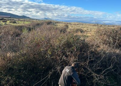 Hacenderas en Torrecaballeros para el mantenimiento y recuperación de caceras