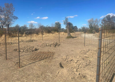 Hacenderas en Revenga para la plantación de Olmos