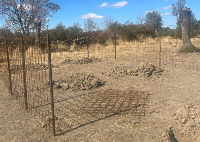 Hacenderas en Revenga para la plantación de Olmos