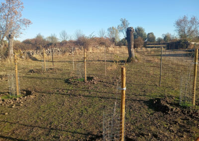 Hacenderas en Revenga para la plantación de Olmos