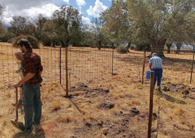 Hacenderas en Revenga para la plantación de Olmos