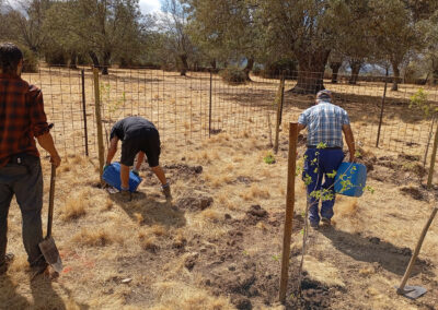 Hacenderas en Revenga para la plantación de Olmos