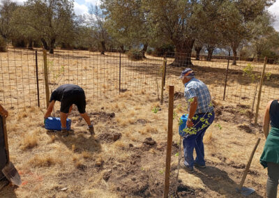 Hacenderas en Revenga para la plantación de Olmos