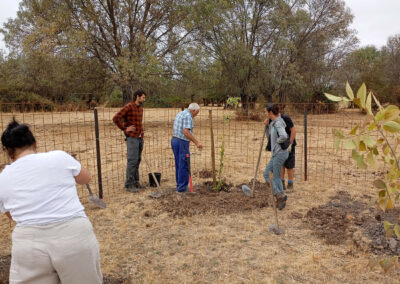 Hacenderas en Revenga para la plantación de Olmos