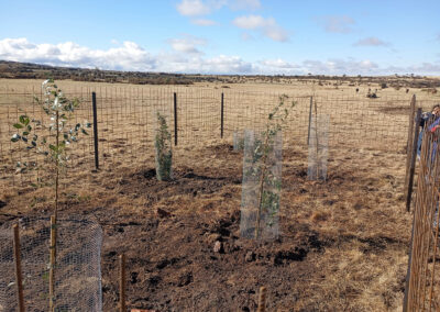 Hacenderas en Torrecaballeros para plantación de islas de biodiversidad
