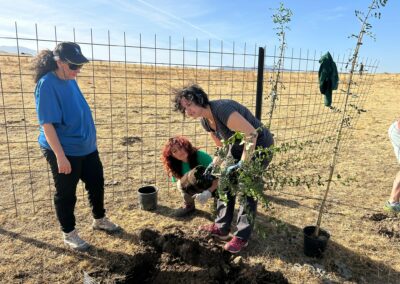 Hacenderas en Torrecaballeros para plantación de islas de biodiversidad