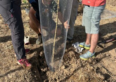 Hacenderas en Torrecaballeros para plantación de islas de biodiversidad