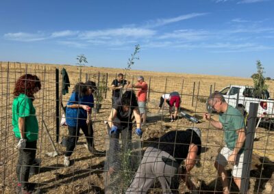 Hacenderas en Torrecaballeros para plantación de islas de biodiversidad