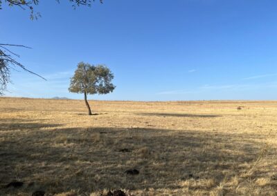 Hacenderas en Torrecaballeros para plantación de islas de biodiversidad