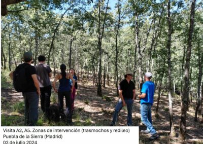 Restauración ecológica de pastos de montaña y fomento de la actividad agropastoral sostenible