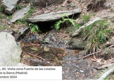 Restauración ecológica de pastos de montaña y fomento de la actividad agropastoral sostenible