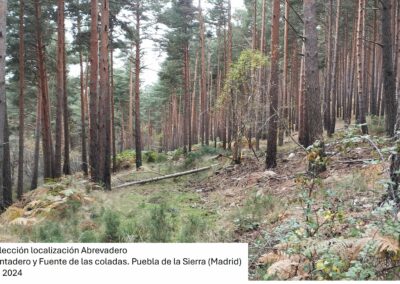 Restauración ecológica de pastos de montaña y fomento de la actividad agropastoral sostenible