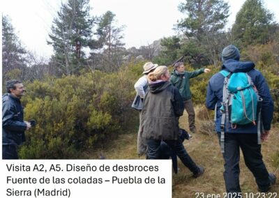Restauración ecológica de pastos de montaña y fomento de la actividad agropastoral sostenible