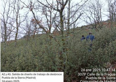 Restauración ecológica de pastos de montaña y fomento de la actividad agropastoral sostenible