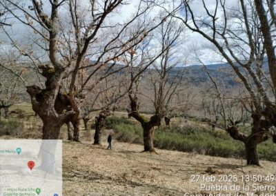 Restauración ecológica de pastos de montaña y fomento de la actividad agropastoral sostenible