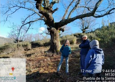 Restauración ecológica de pastos de montaña y fomento de la actividad agropastoral sostenible