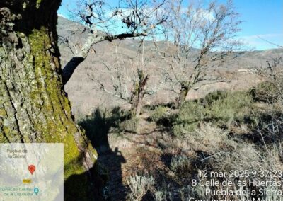 Restauración ecológica de pastos de montaña y fomento de la actividad agropastoral sostenible
