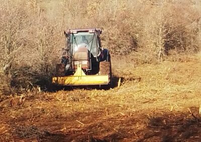 Intervenciones forestales en Sierra de la Demanda