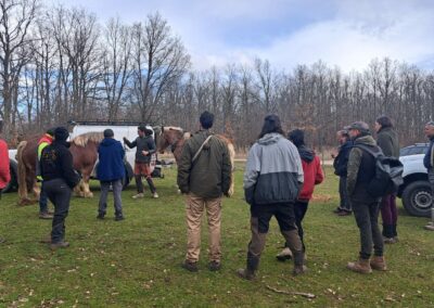 Curso Trabajos forestales con tracción animal