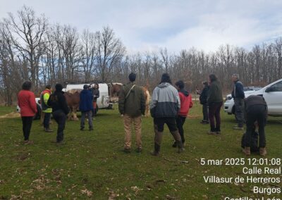 Curso Trabajos forestales con tracción animal