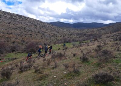 Curso Trabajos forestales con tracción animal