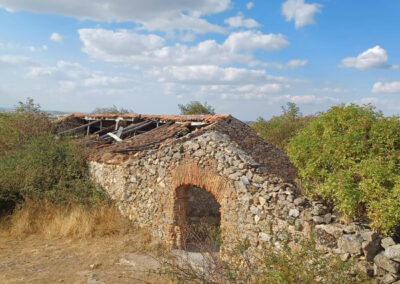 IMG 20250825 WA0108