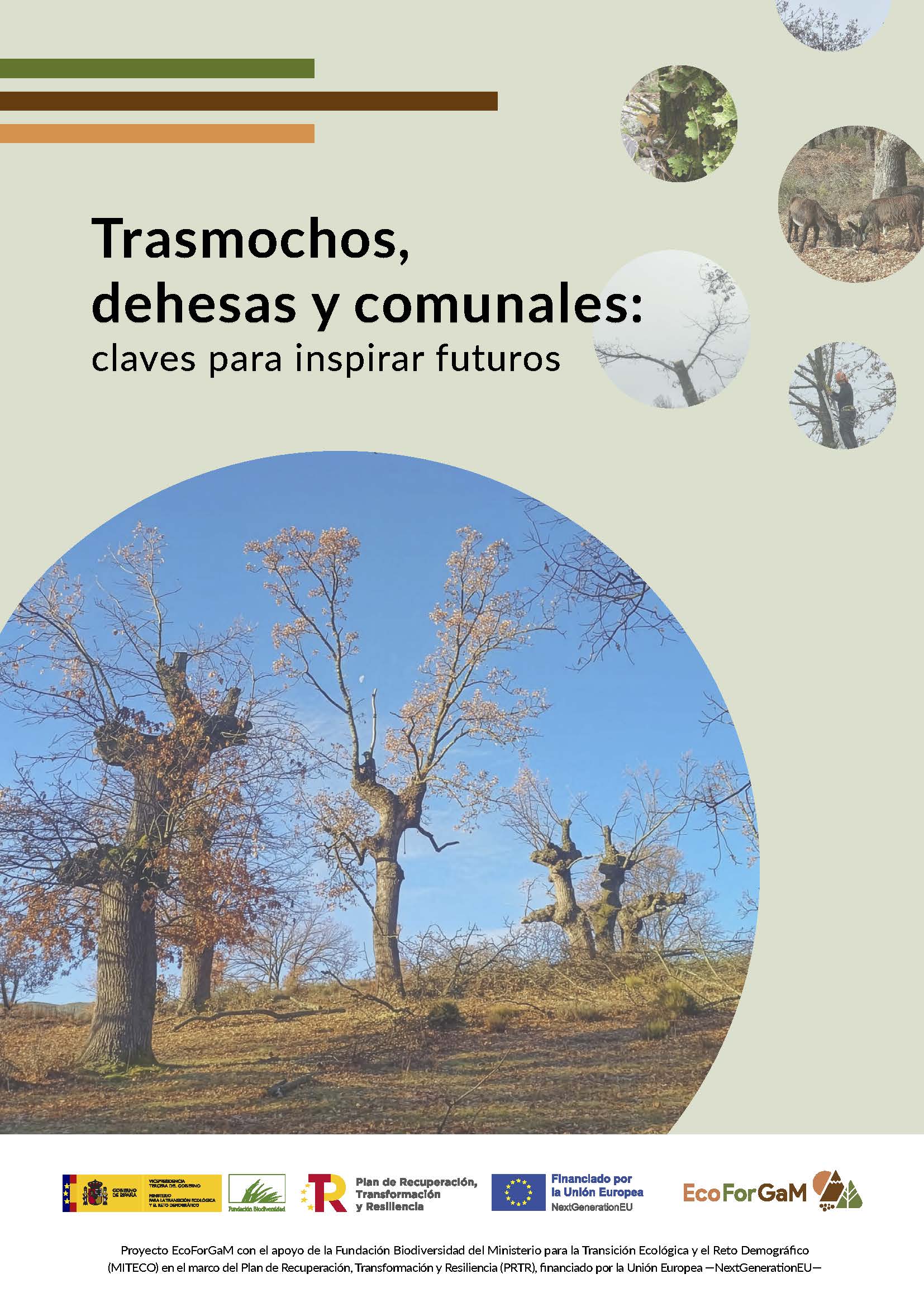 Libro Trasmochos,, dehesas y comunales
