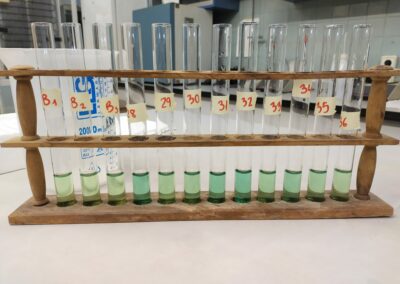 Estudio de compost y muestras en granjas para aumentar la biomasa forestal