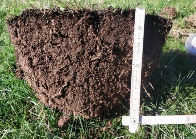 Estudio de compost y muestras en granjas para aumentar la biomasa forestal