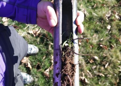 Estudio de compost y muestras en granjas para aumentar la biomasa forestal