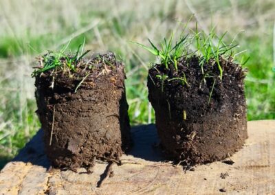 Estudio de compost y muestras en granjas para aumentar la biomasa forestal