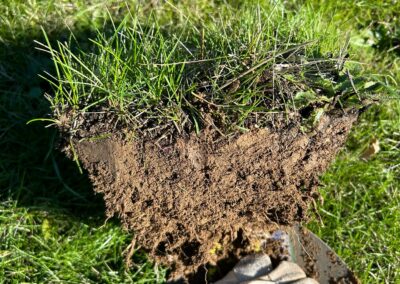 Estudio de compost y muestras en granjas para aumentar la biomasa forestal